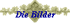 Die Bilder